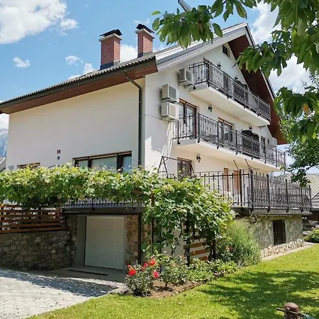 & Aleksandra Guest house