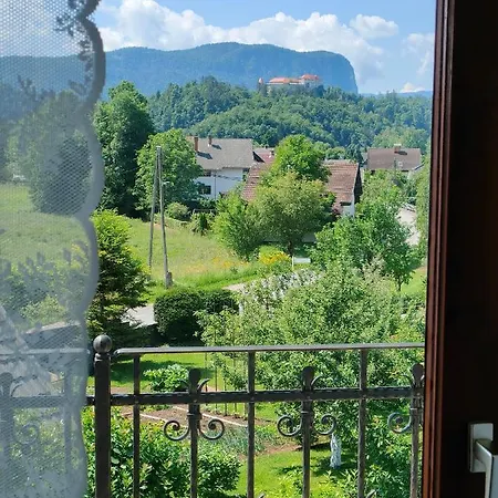 & Aleksandra Guest house